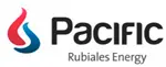 pacific-carpas-e-ingenieria